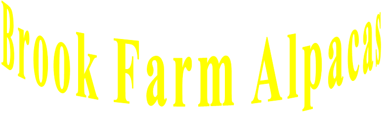 Brook Farm Alpacas